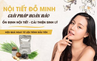 bai-thuoc-noi-tiet-do-minh