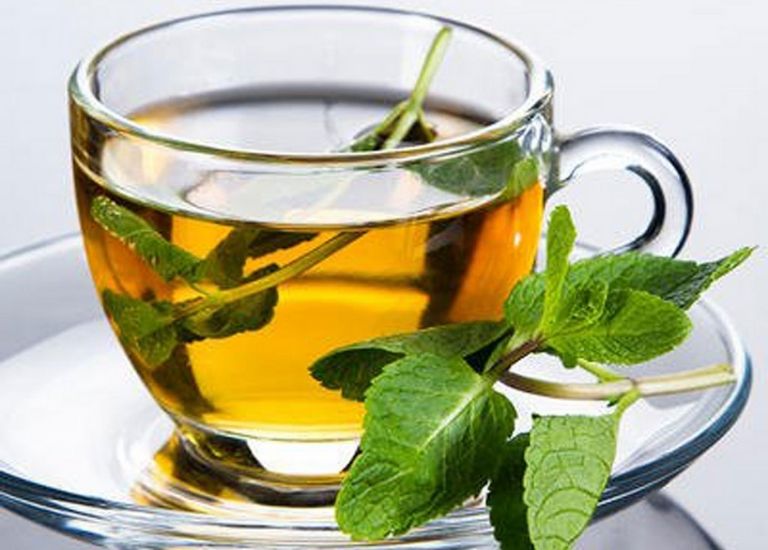Uống trà bạc hà hỗ trợ điều trị bệnh rất tốt