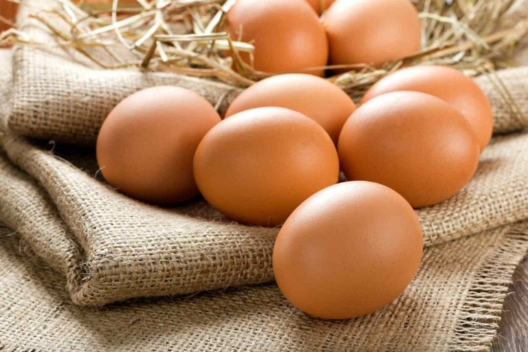 Trứng là một nguồn cung cấp protein và biotin cực hiệu quả cho cơ thể