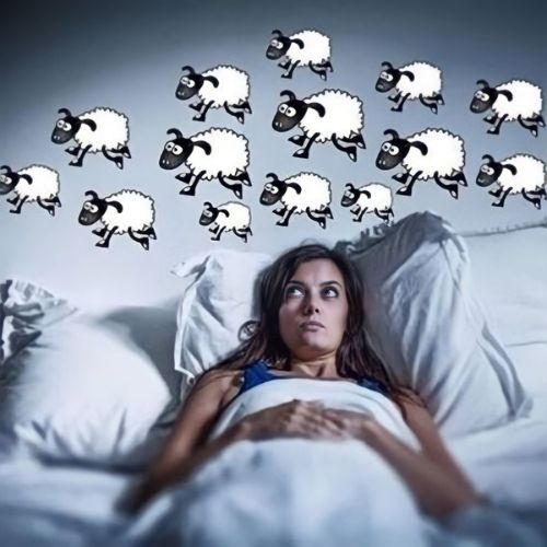 Mất Ngủ Đếm Cừu Có Hiệu Quả Không? Làm Gì Nếu Đếm Cừu Thất Bại?