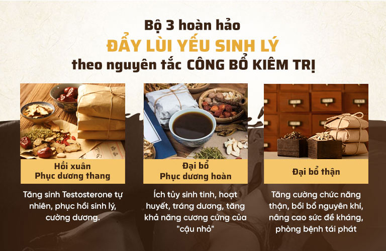 sinh-ly-nam-do-minh-1