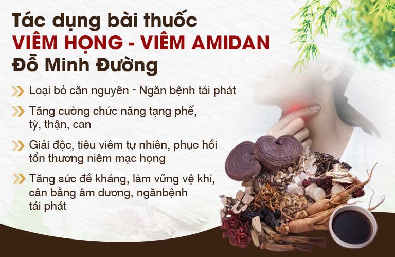 Tác dụng bài thuốc Viêm Họng - Viêm Amidan Đỗ Minh