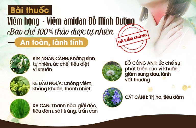Thành phần bài thuốc Viêm Họng - Viêm Amidan Đỗ Minh