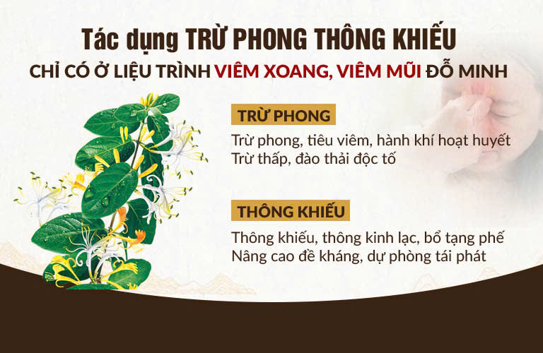 Cơ chế bài thuốc chữa viêm xoang - mũi Đỗ Minh Đường