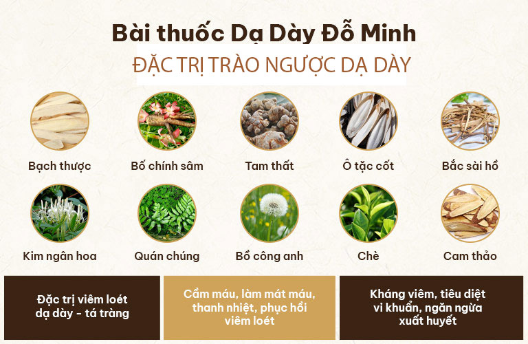 Sự phối chế hài hòa giữa 10 vị thuốc quý mang đến hiệu quả điều trị trào ngược tối ưu