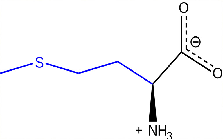 Methionine-01