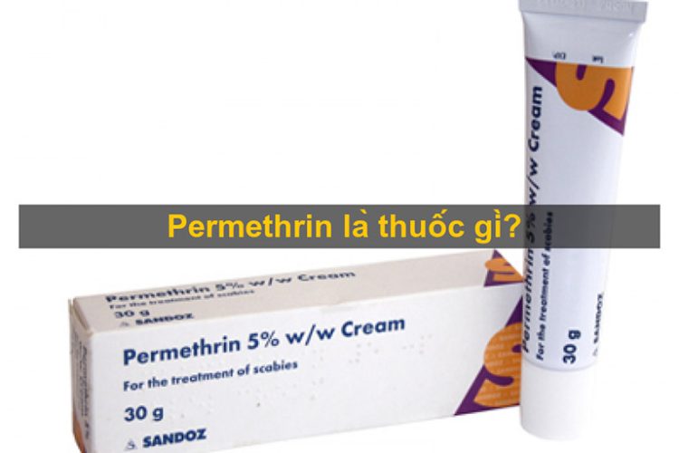 Permethrin-la-thuoc-gi
