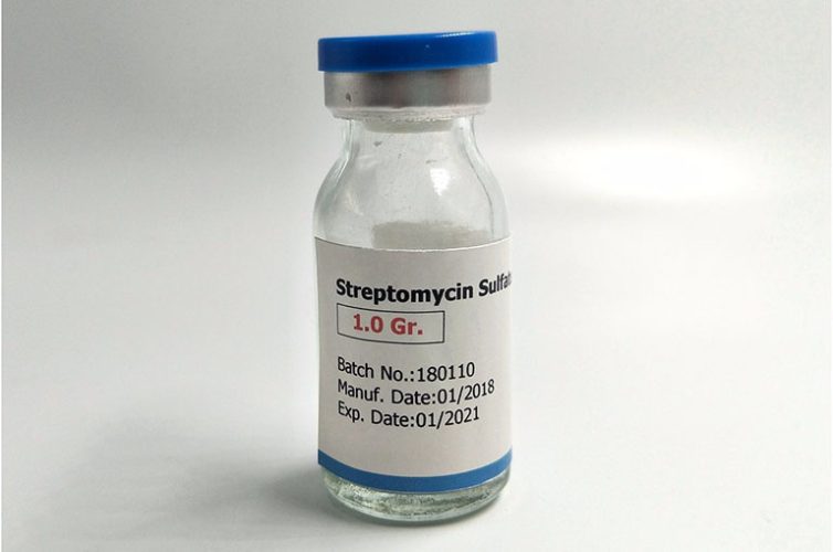streptomycin