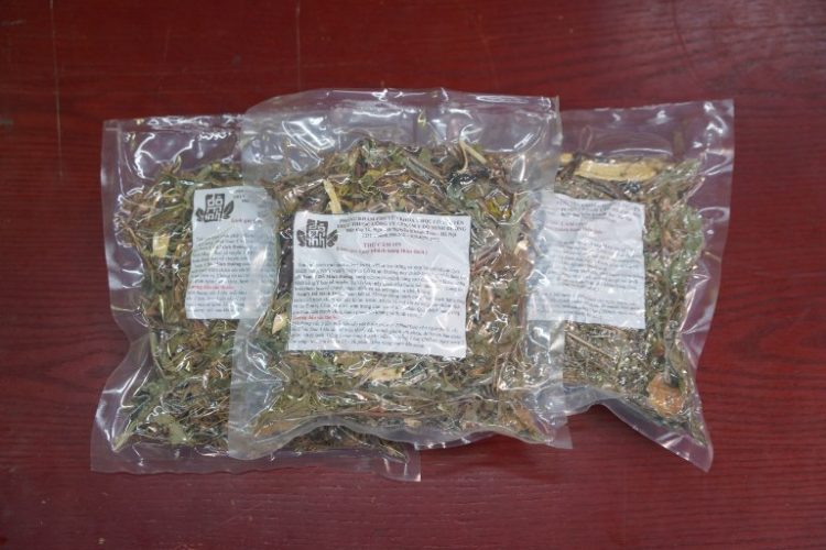 Lương Y Đỗ Minh Tuấn Tư Vấn Chữa Viêm Xoang, Viêm Mũi Bằng Bài Thuốc Nam Đỗ Minh Đường
