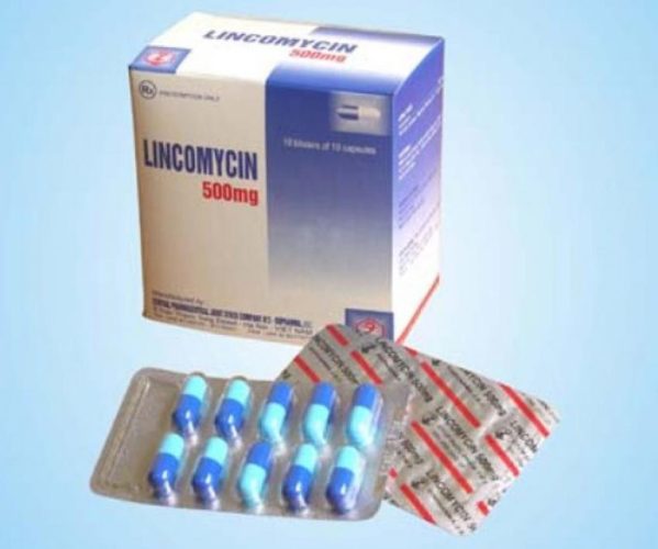 thong-tin-thuoc-lincomycin