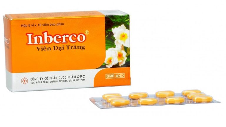 vien-dai-trang-inberco-1